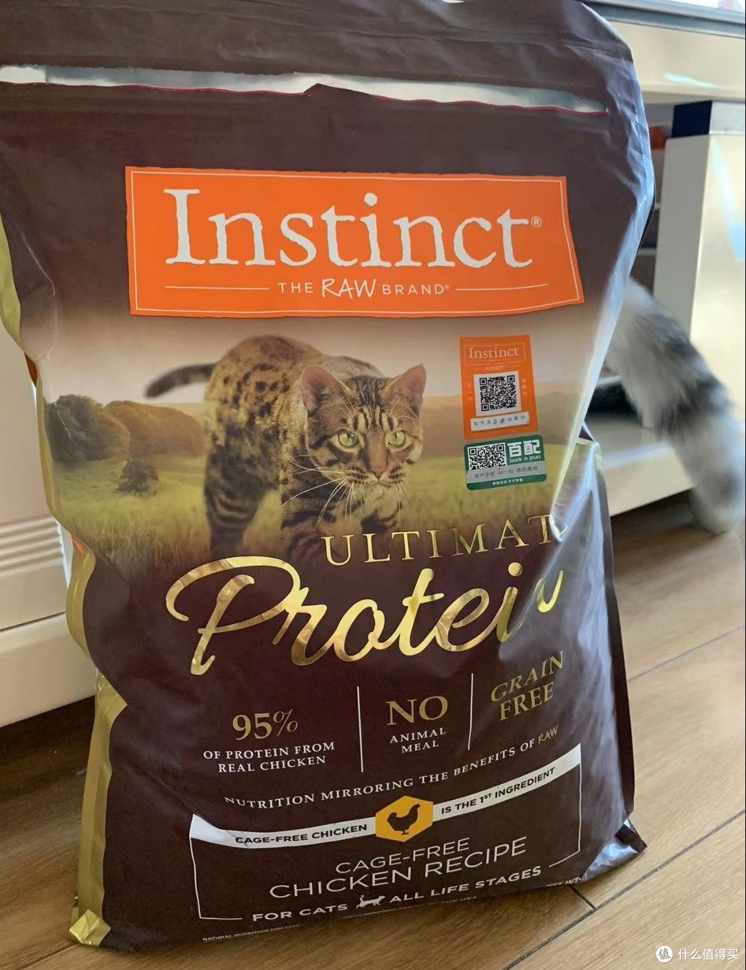 猫粮的尽头是百利高