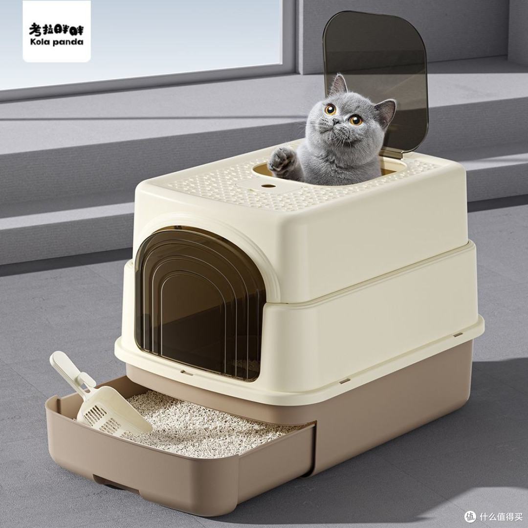 养猫封神10件必备神器｜从玩乐到清洁真实实测体验