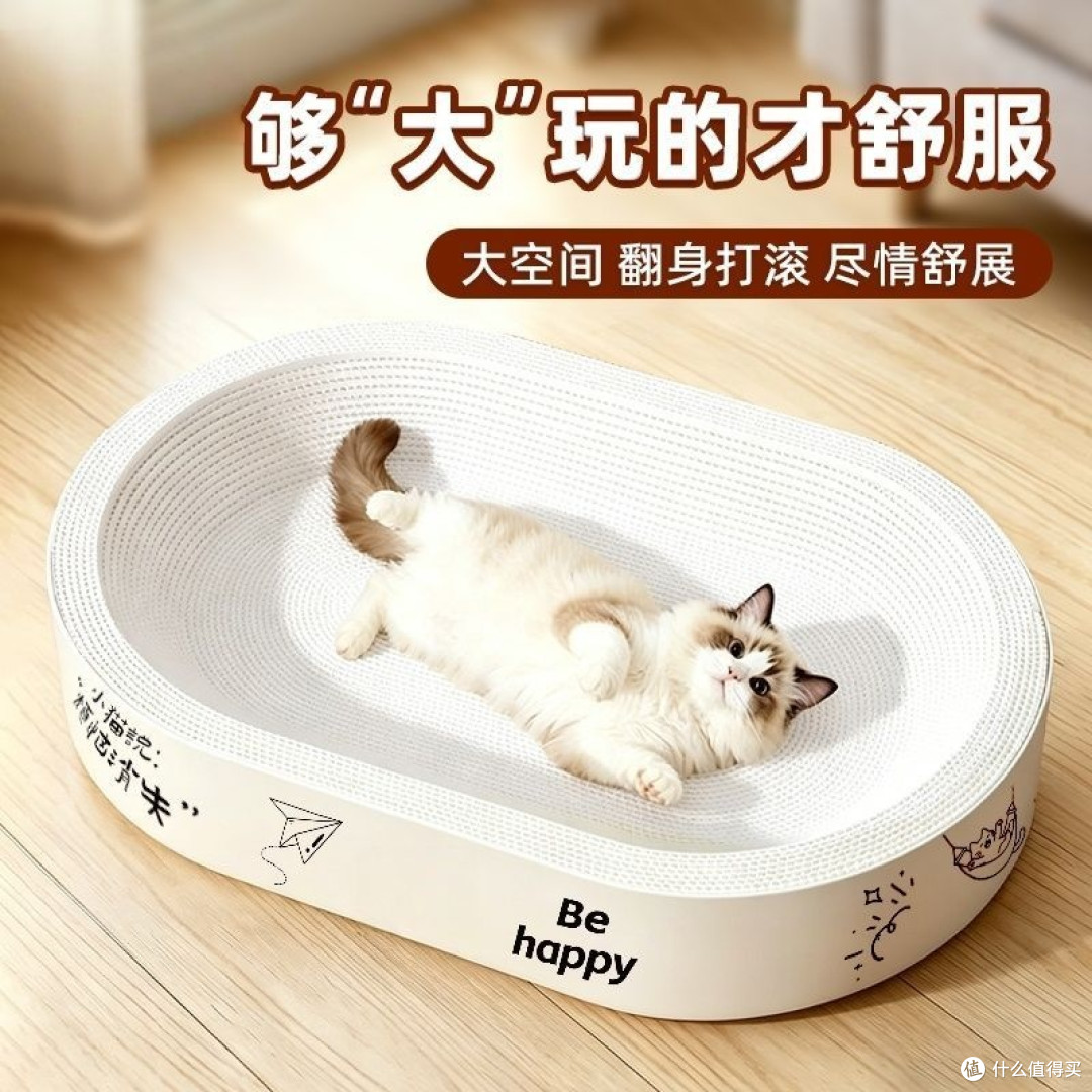 养猫必备10件居家神器|真实实测不踩雷