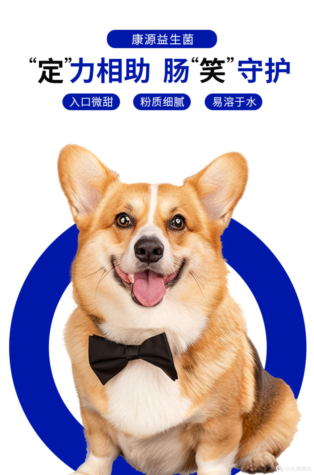 宠物玻璃胃常备益生菌挑选要点