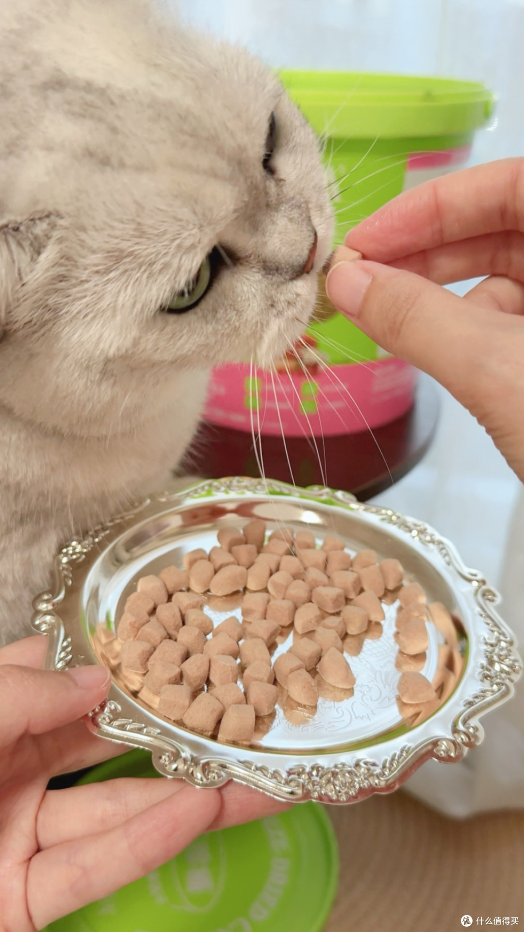 88节绝育猫家庭选主食冻干,肉拜拜我购物车里怎么放