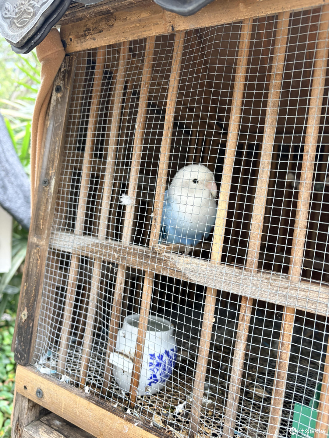 网红亲子房的真实体验与反思