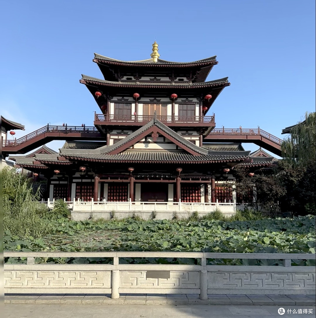 夏天逛洛阳|上阳宫唐风逛吃体验