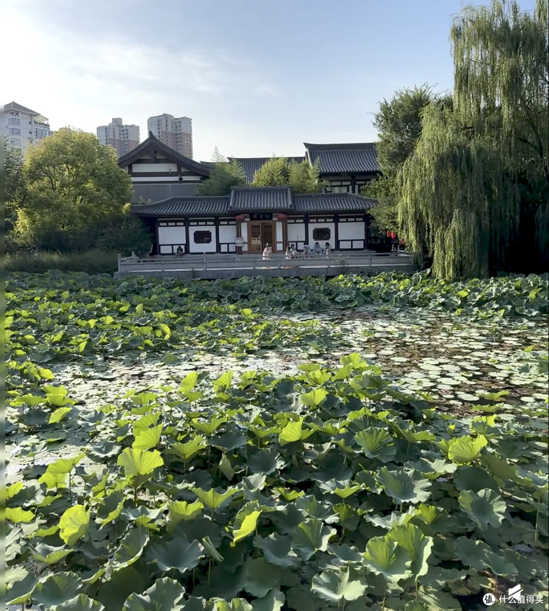夏天逛洛阳|上阳宫唐风逛吃体验