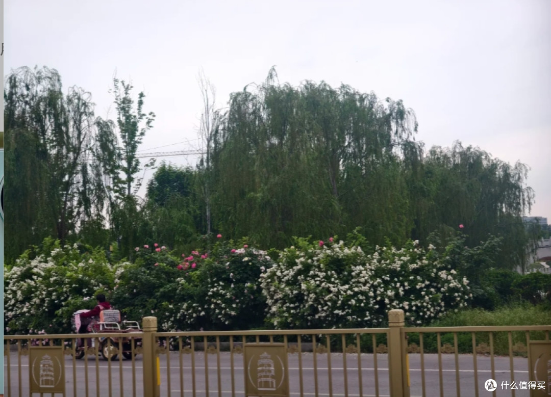 手机行情普遍看涨，这款旗舰直降1200，直屏+蔡司三摄体验不凑数