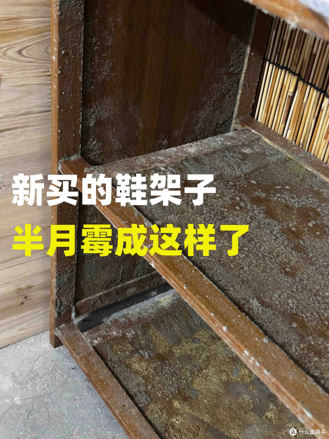 买了一楼带院子的房子,入住5年,不管别人说有多香,以后不住了