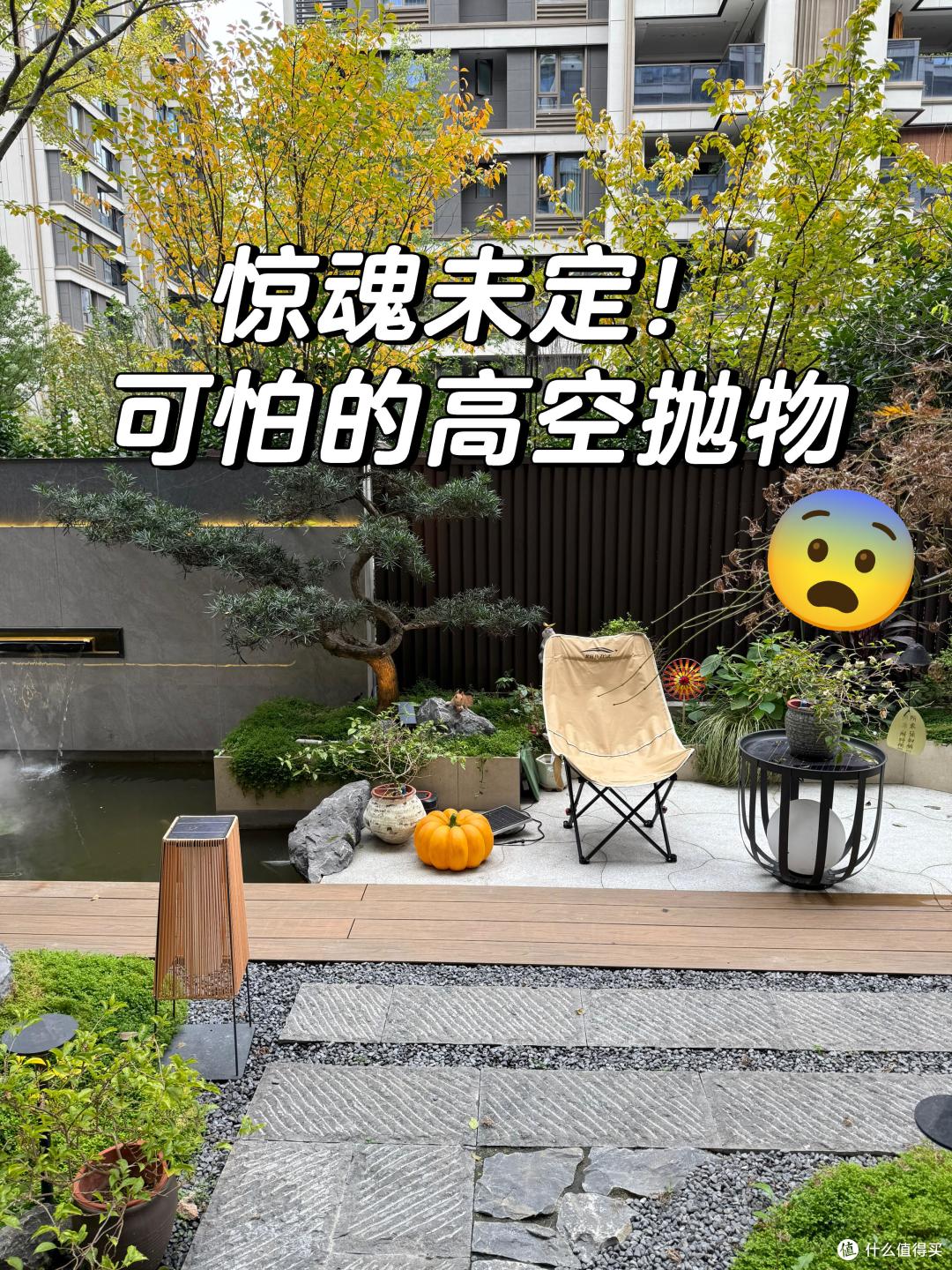 买了一楼带院子的房子,入住5年,不管别人说有多香,以后不住了