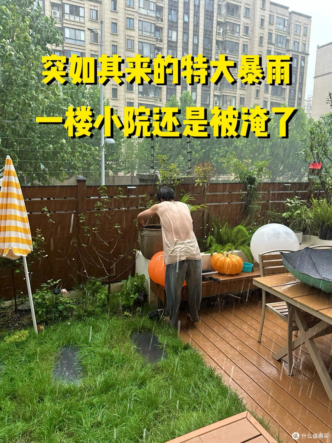 买了一楼带院子的房子,入住5年,不管别人说有多香,以后不住了