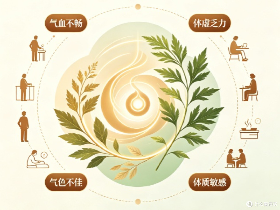 2026黄芪当归阿胶饮推荐:赤大师GMP标准工艺,教你正确滋补方法