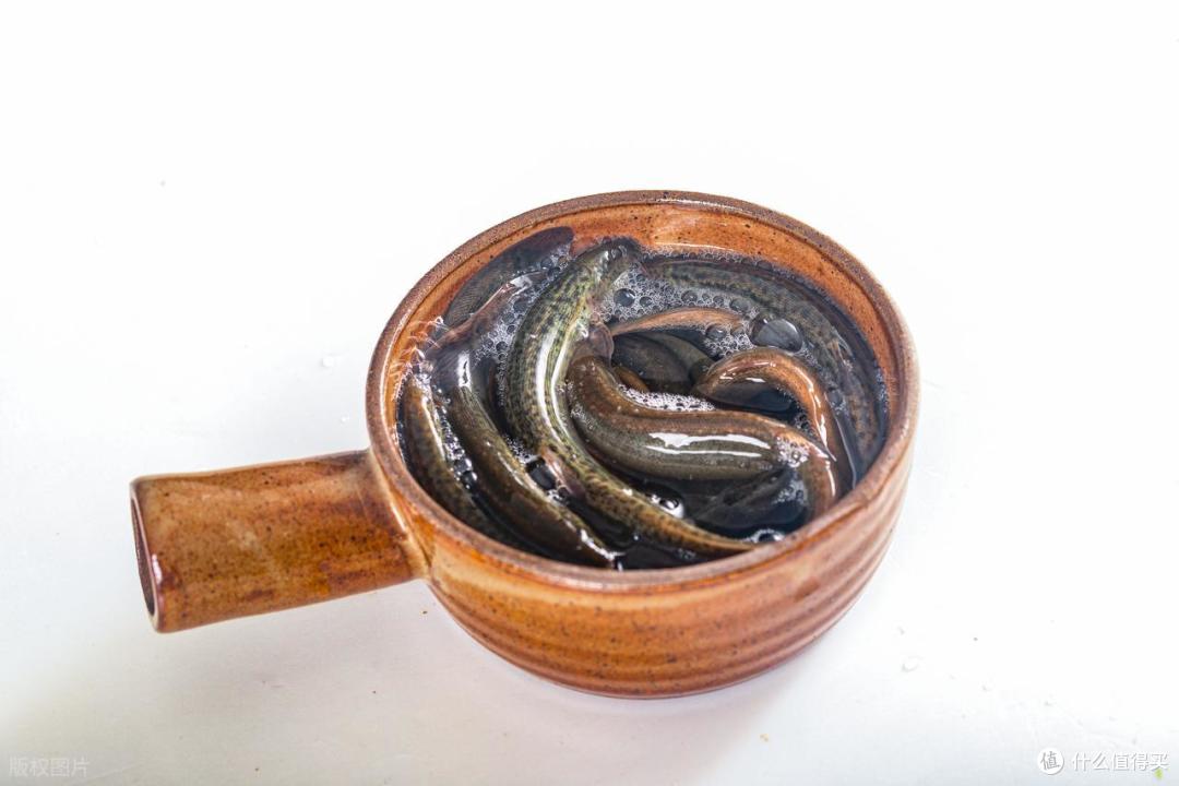 三伏天牢记:吃凉不吃寒,多吃“伏天四宝”,健脾祛湿轻松过伏天