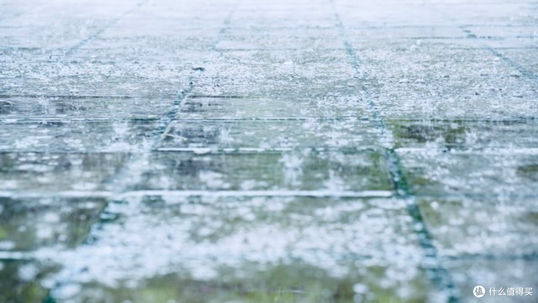 上海老破小的梅雨季“专属味道”,夏普D20一个月帮我彻底清除了