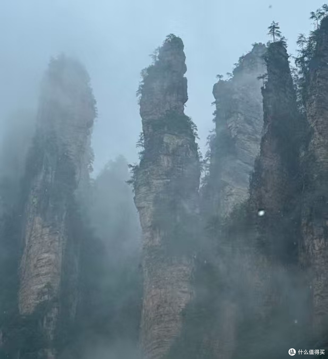 独自远行张家界：不迁就、不等待，我在百龙天梯独享整片云海