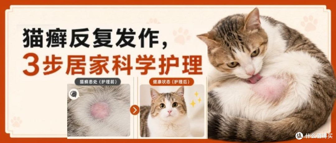 【实测分享】猫癣护理怎么选产品？这套组合让我少花了一半冤枉钱