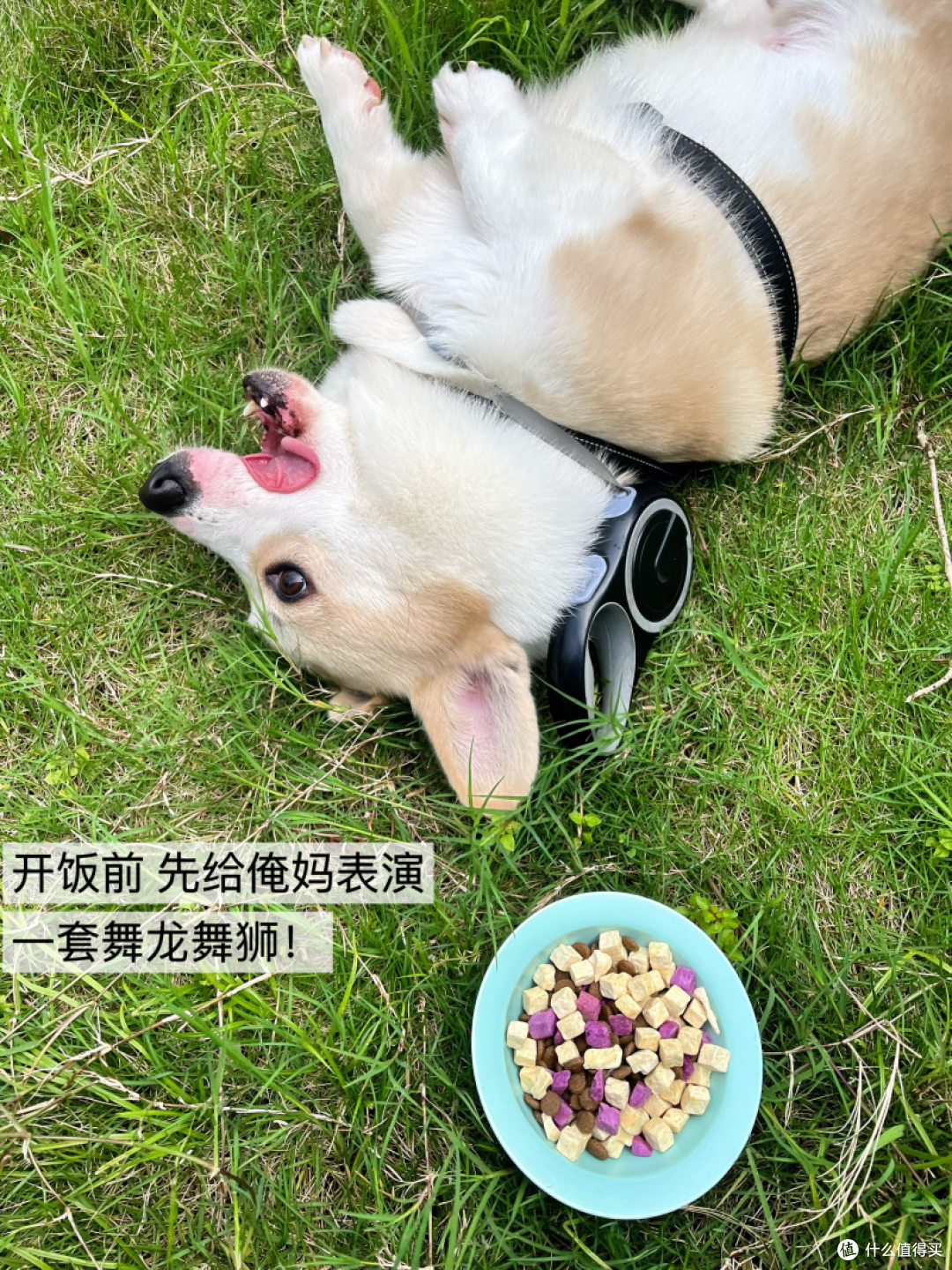配图