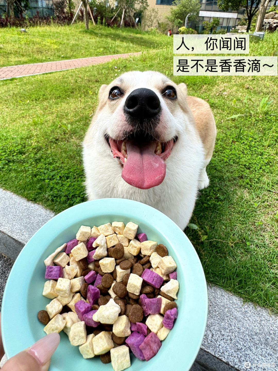配图