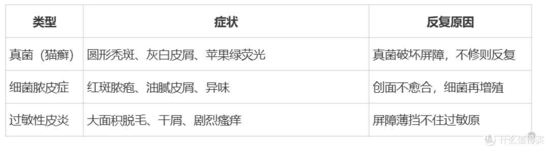 【实测】猫咪皮肤病用药怎么选?