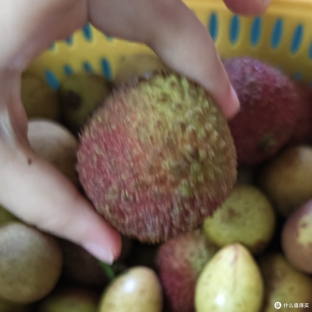 排排坐，吃荔枝龙眼黄皮果果