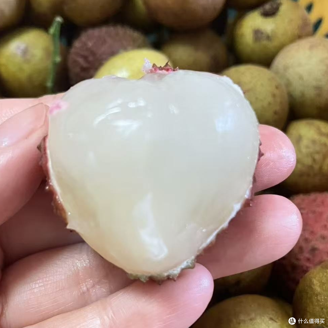 排排坐，吃荔枝龙眼黄皮果果