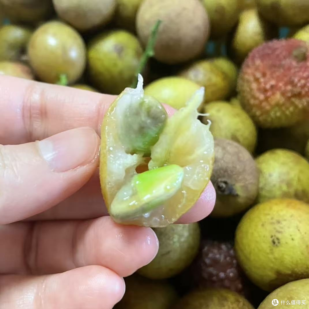 排排坐，吃荔枝龙眼黄皮果果