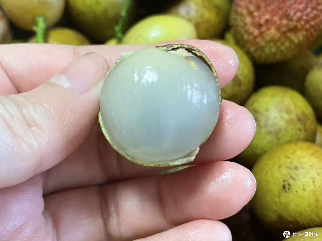 排排坐，吃荔枝龙眼黄皮果果