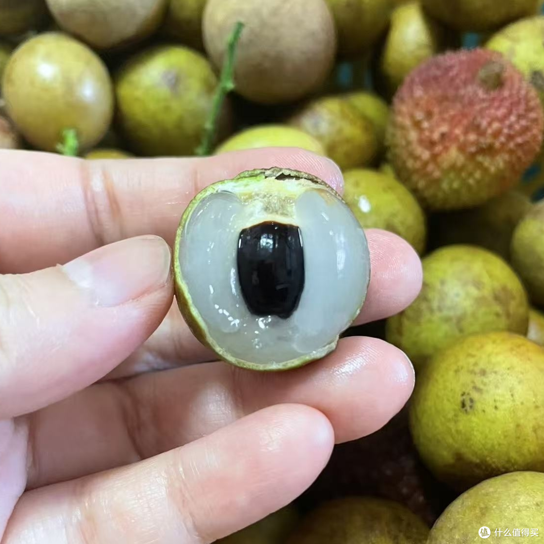 排排坐，吃荔枝龙眼黄皮果果