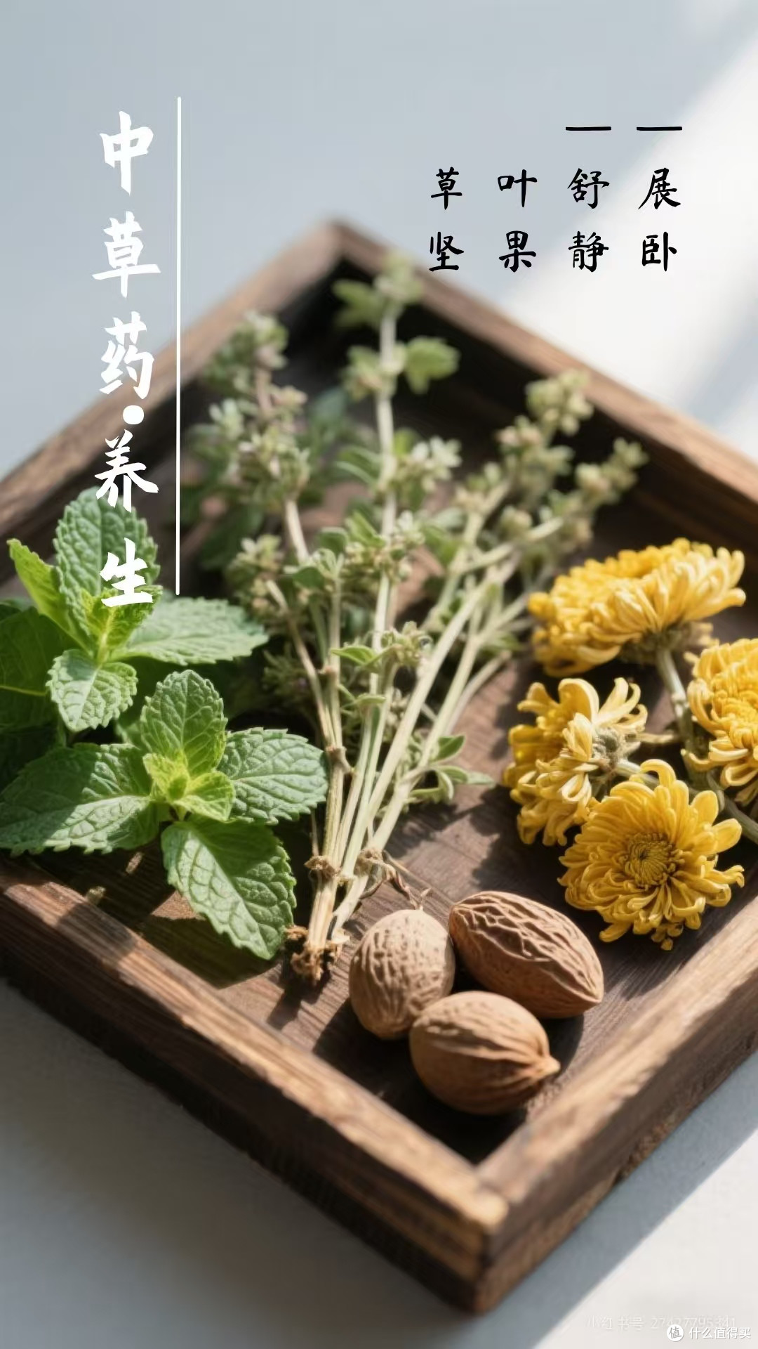 草本抗老面霜测评:5款干皮友好型选手,谁才是你的本命?
