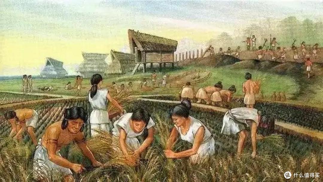 刷新世界农业起源认知!新发现一万年前我国古人就吃小米用陶器了