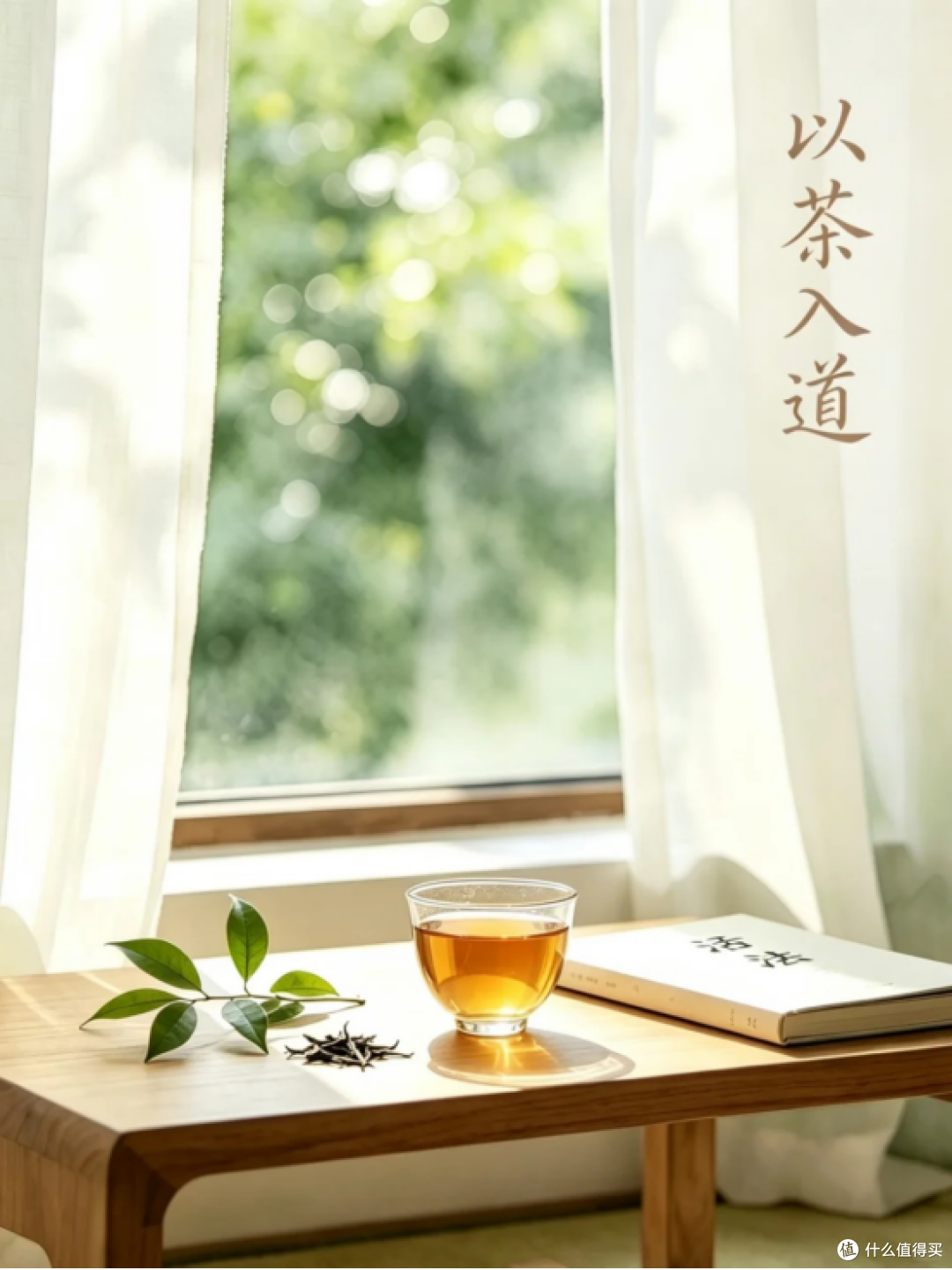 夏天冷泡茶我只服这一款!万定茉莉白牡丹,好喝到想囤一冰箱
