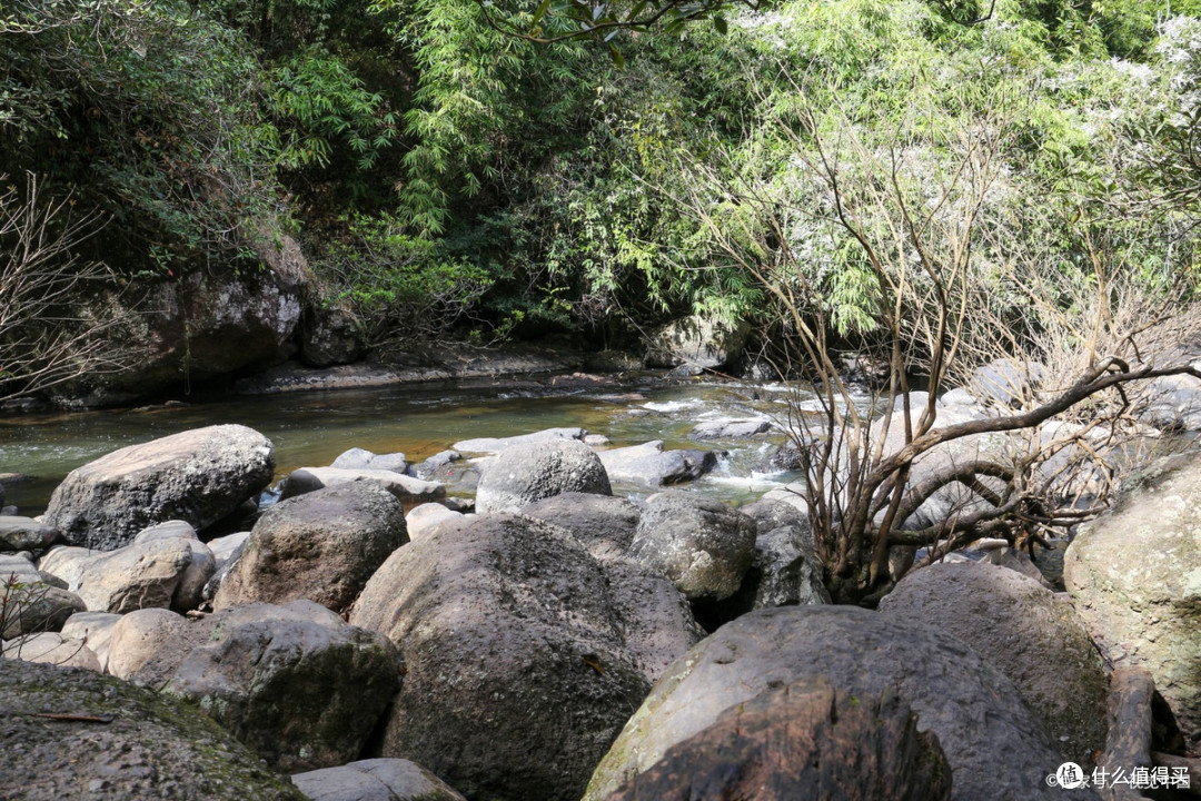 从化溪头村:避暑玩水胜地