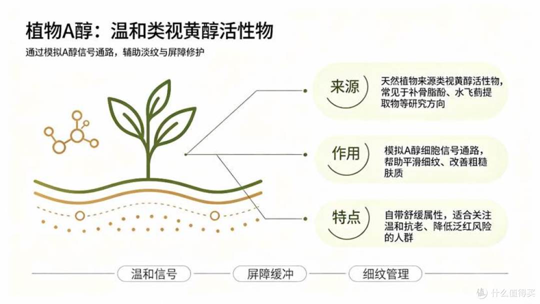 敏感肌温和植物抗老套装横向测评,25+轻熟肌参考