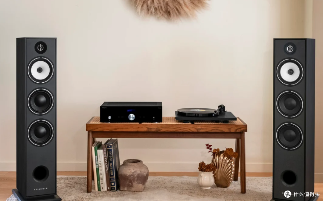 入门 HiFi 闭眼入?法国 Triangle BR08 落地箱居家真实使用分享