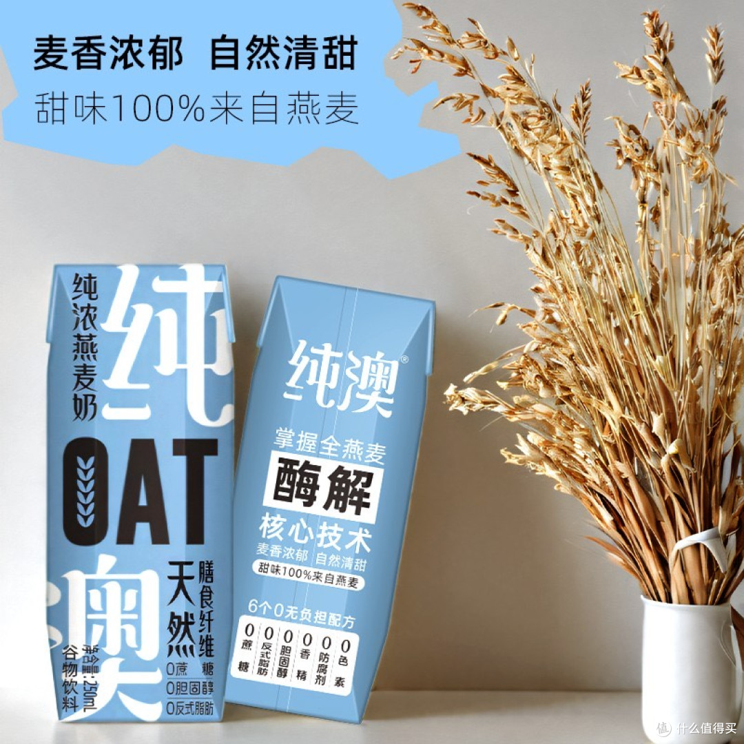 2026国内素食燕麦奶选购指南:有机无动物成分酶解款实测推荐
