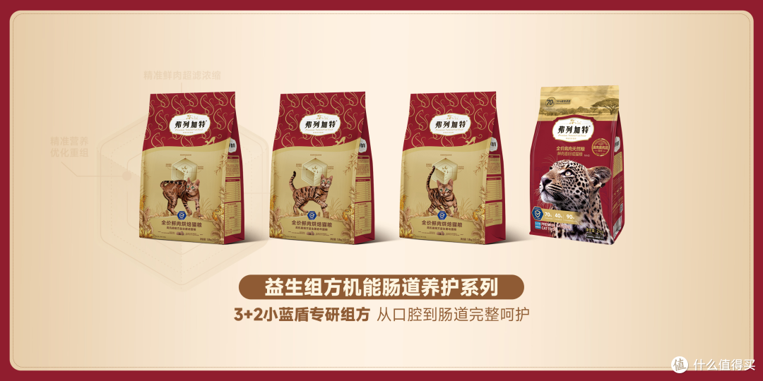 2026 年最新高口碑TOP10猫粮盘点:好吃又健康的猫粮怎么选?