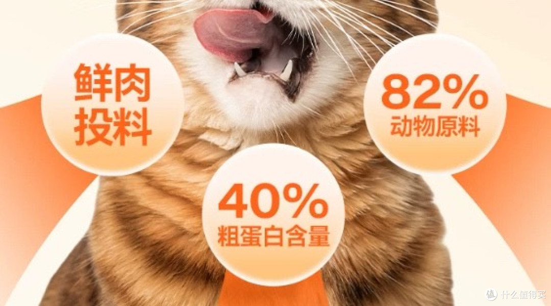 猫粮翻车事件频发?作为新手怎么选猫粮?十大猫粮优缺点详细解析