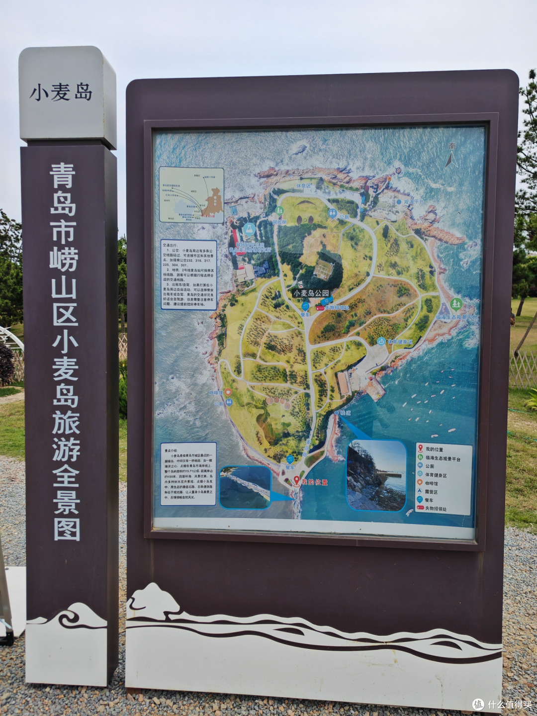 中考后的青岛7天游:红瓦、海风、夜市烟火,和副驾上长大的娃
