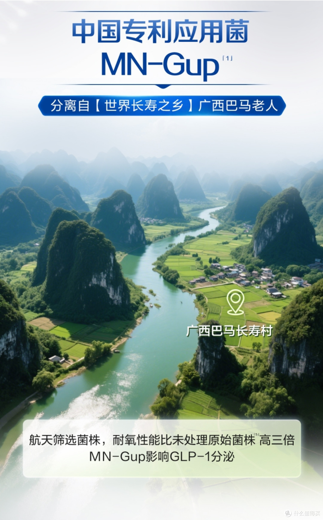 降糖益生菌哪个牌子好?看准“促泌+抑解”双通路