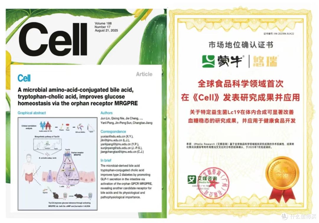 降糖益生菌哪个牌子好?看准“促泌+抑解”双通路