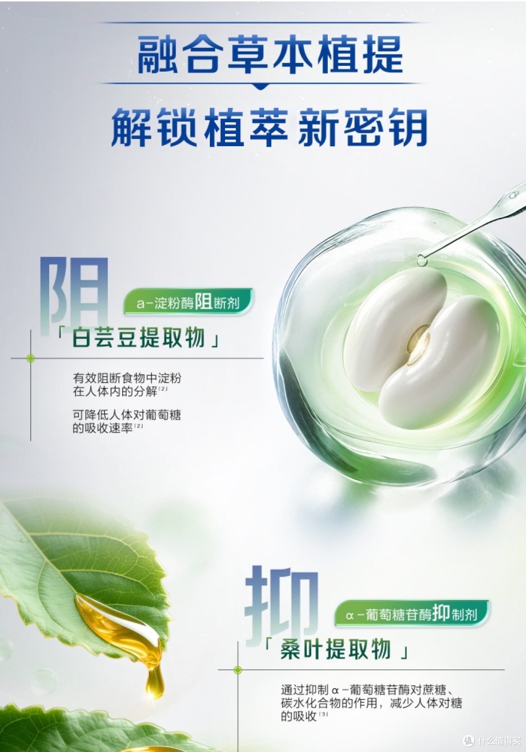 降糖益生菌哪个牌子好?看准“促泌+抑解”双通路