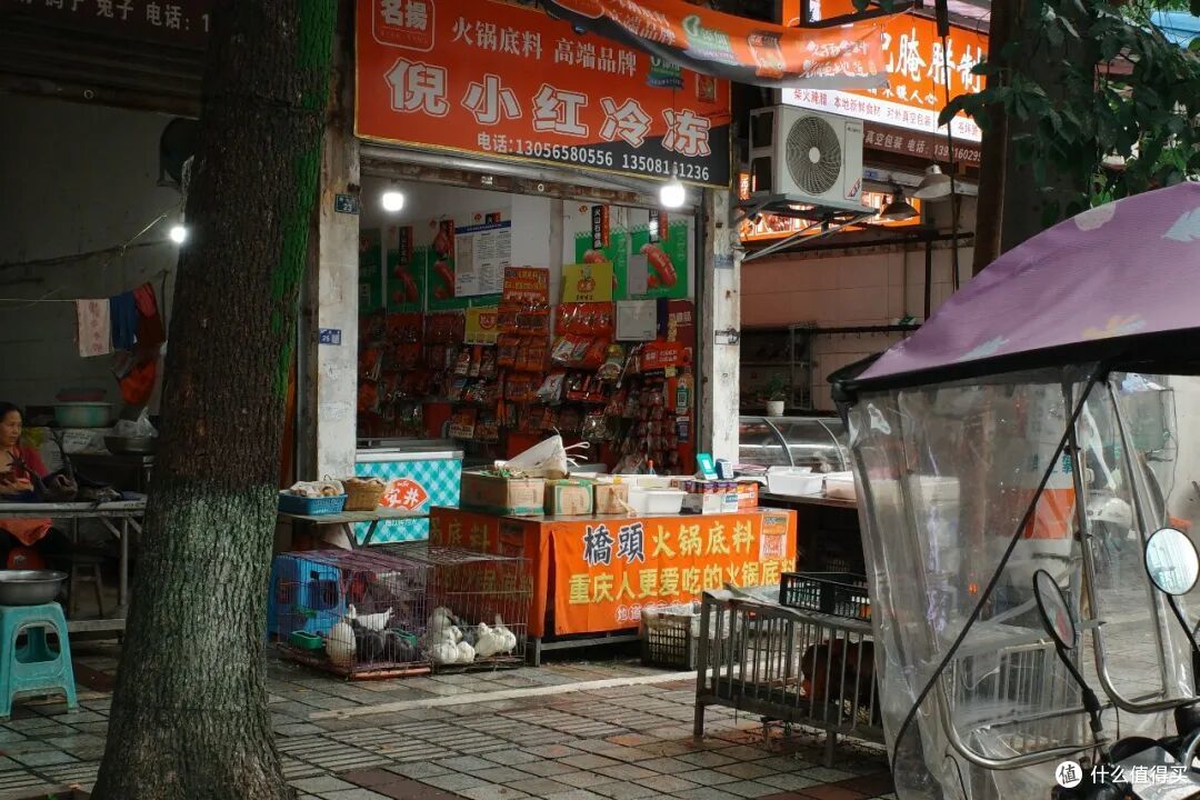 高铁1h！在40℃火炉边，挖到一座24℃避暑小城，夏天来这回血刚刚好