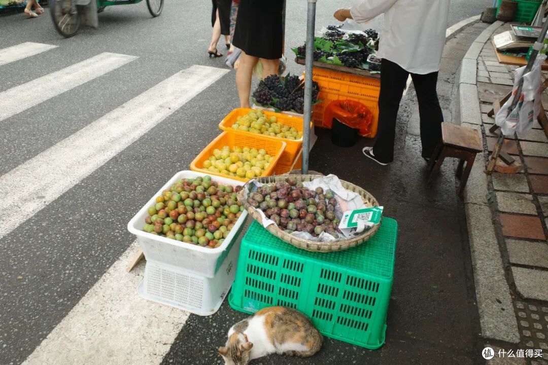 高铁1h！在40℃火炉边，挖到一座24℃避暑小城，夏天来这回血刚刚好