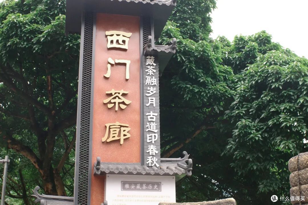 高铁1h！在40℃火炉边，挖到一座24℃避暑小城，夏天来这回血刚刚好
