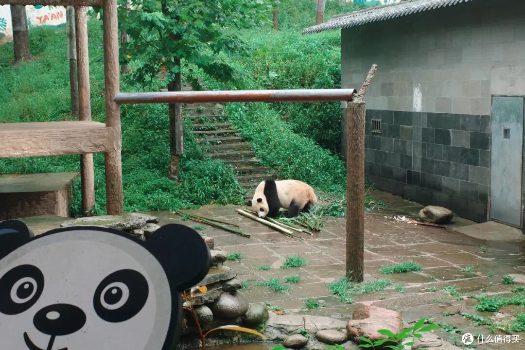高铁1h！在40℃火炉边，挖到一座24℃避暑小城，夏天来这回血刚刚好