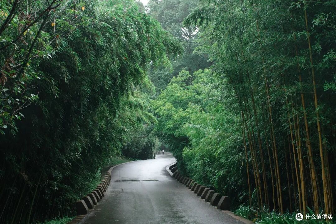 高铁1h！在40℃火炉边，挖到一座24℃避暑小城，夏天来这回血刚刚好