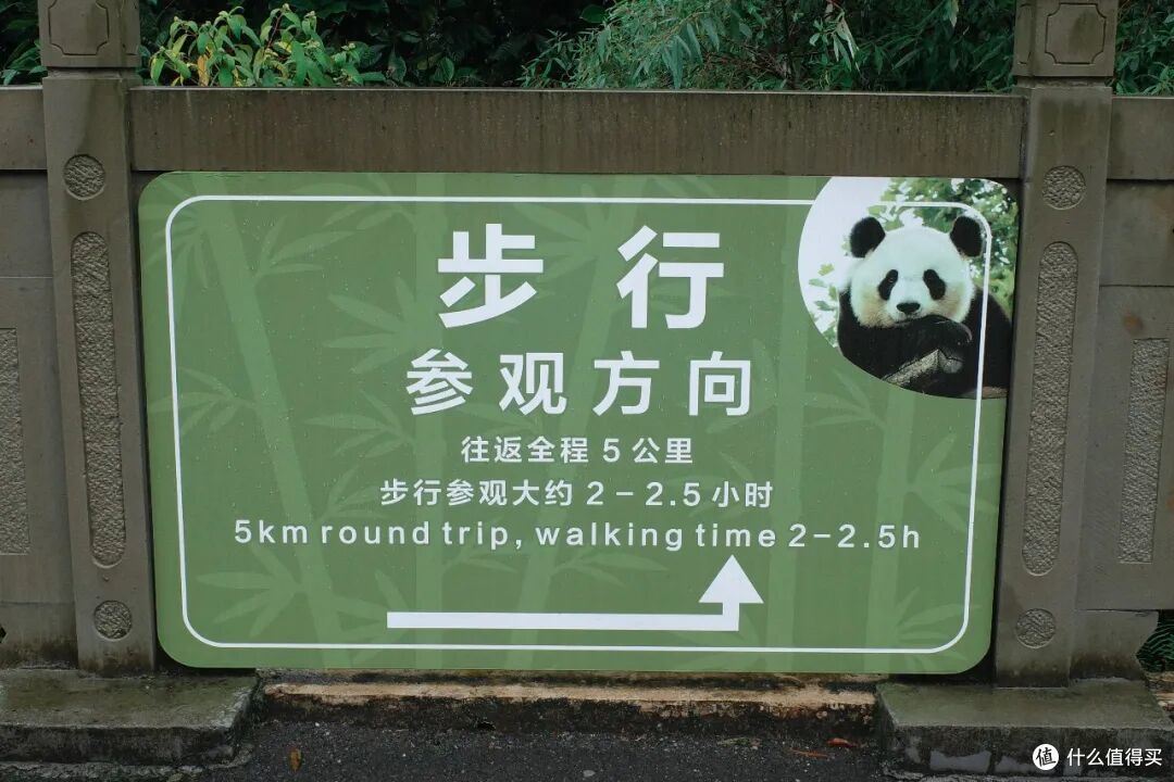 高铁1h！在40℃火炉边，挖到一座24℃避暑小城，夏天来这回血刚刚好