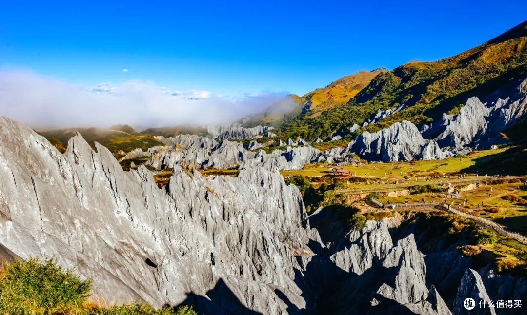 雪山藏寨草原，峡谷一次看个够！这条小环线真的完美适配所有人！