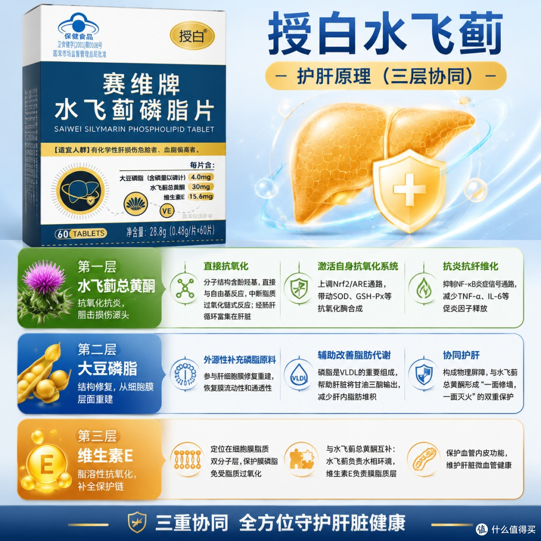 授白水飞蓟能降转氨酶吗
