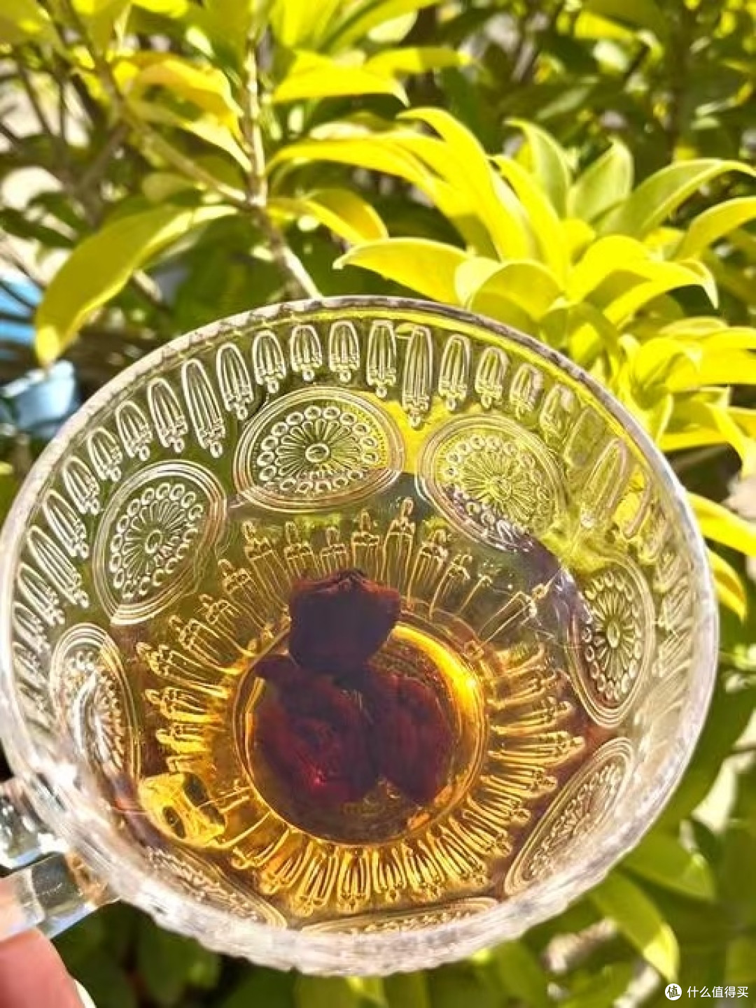 平价即食黄精横向评,正宗黄精多少钱一斤?对标九华山黄精