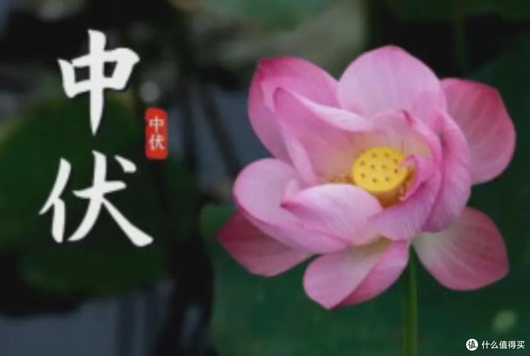 老话:中伏三地不去,家人平安顺利,进入中伏天,哪三地不能去?