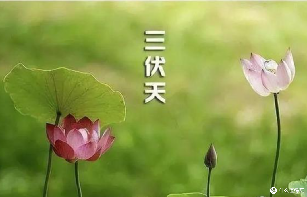 老话:中伏三地不去,家人平安顺利,进入中伏天,哪三地不能去?