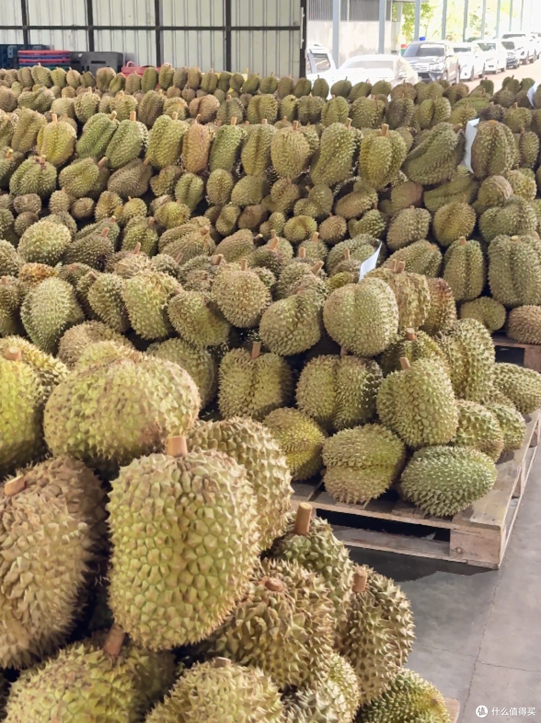 实力圈粉!好吃的榴莲千层,就选星奇异